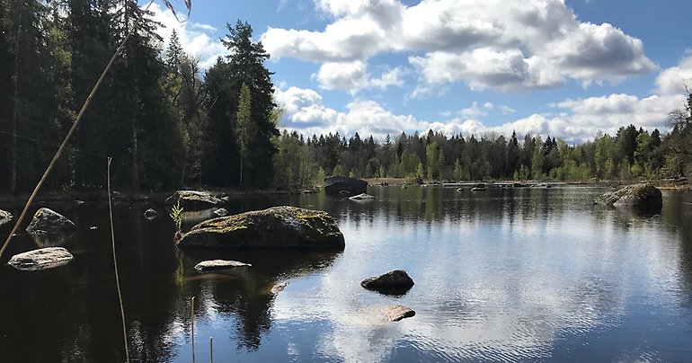 Bilden: Kommunen har både kust, sjöar, åar och delar av Dalälvens vidsträckta vattensystem som här vid Bredforsen. Upplevelser kring vatten kan utvecklas som besöks- och turistmål.